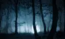 The Forest wymagania: Czy Twój PC jest gotowy na las?