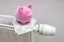 Różowa świnka-skarbonka na grzejniku z polskimi banknotami. Symbol oszczędzania na ogrzewanie, być może zapowiedź bonu ciepłowniczy.