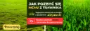 Skuteczne nawozy na mech, które uratują Twój trawnik przed zniszczeniem