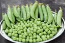 Un plato lleno de guisantes frescos, tanto en vaina como sueltos. ¡Una delicia que hasta los perros pueden comer guisantes!
