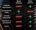 Grille ze stali nierdzewnej - najlepsze modele i ich zalety