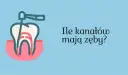 Ząb 5 ile ma kanałów? Odkryj zaskakujące różnice w budowie