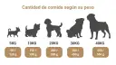 Siluetas de perros de distintos tamaños, de 5 a 40 kg, con la cantidad de alimento recomendada para la dieta ideal de los cachorros.