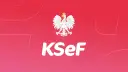 Biały orzeł na czerwonym tle z napisem KSeF.