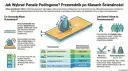 Przewodnik po klasach ścieralności paneli podłogowych. Wybierz odpowiednią klasę AC do pomieszczenia, by podłoga służyła latami.