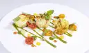 Terracotta Riccione: Gastronomia Vegetariana Artigianale | Gusto & Sostenibilità