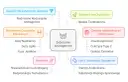 Schemat przedstawia przyczyny zaburzeń androgenowych, w tym choroby metaboliczne i hormonalne, nowotwory, genetykę, leki i starzenie się organizmu.