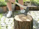 Kwietnik z pnia drzewa: Zrób to sam! Poradnik na lata