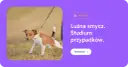 Jak wytresować psa żeby się słuchał – sprawdzone metody i porady