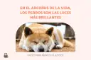 Un perro duerme plácidamente, evocando bonitas frases de adiós a mi mascota. El texto dice: "En el arcoíris de la vida, los perros son las luces más brillantes".