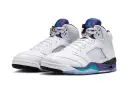 Jordan Retro 5 Platinum - Ceny, dostępność i unikalne cechy butów