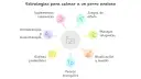 Estrategias para calmar a un perro ansioso: suplementos, aromaterapia, juegos, masajes, masticación, paseos y rutinas predecibles.
