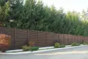 Wzdłuż ciemnobrązowego ogrodzenia rosną wysokie świerki, tworząc zieloną ścianę.