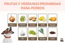 Lista de que frutas no pueden comer los perros: cebolla, aguacate, patata, limón, naranja, ajo, uvas, puerro y pasas.