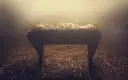 Pusta żłób, symbol początku, gdzie na początku było słowo. Siano i białe płótno w mglistym świetle.