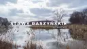 Rezerwat Przyrody Stawy Raszyńskie: Odkryj jego tajemnice i bogactwo fauny