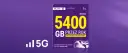 Jaki internet mobilny na kartę? Sprawdź najlepsze oferty i ceny