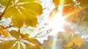 Vitamin D Sonne: So wichtig ist die richtige Sonnenexposition für Ihre Gesundheit