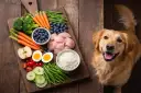 Un perro golden retriever mira con ansias una tabla de madera con ingredientes frescos: pollo, arroz, verduras y frutas. ¡Así es que comen los perros!