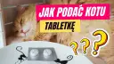 Jak podać kotu tabletkę na odrobaczanie bez stresu i problemów