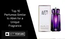 Alien Duftalternativen finden: Die besten Dupes & ähnliche Düfte
