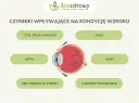 Jak dbać o wzrok? Kompleksowy poradnik dla zdrowych oczu