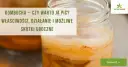 Kombucha: Korzyści, ryzyko i czy warto ją pić?