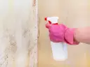 Ręka w różowej rękawiczce rozpyla środek na ścianę z widocznym grzybem w domu.