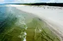 Piękne, piaszczyste plaże w Polsce, z zielonymi wodami Bałtyku i sosnowym lasem w tle.