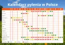 Co pyli w Szczecinie? Aktualny raport + kalendarz i ulga dla alergika