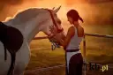 Jazda konna w Olsztynie: Stadniny, ceny, oferta. Którą wybrać?