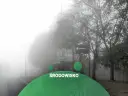 Mglisty krajobraz miejski z drzewami i znakiem Arciszewskiego.