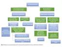 Flussdiagramm zur Unterscheidung von Schluckstörungen: zervikale und ösophageale Dysphagie.