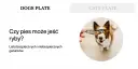 Pies patrzy na rękę trzymającą suszoną rybkę.