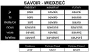 Odmiana czasowników francuskich: Klucz do płynności? Poznaj wzory!