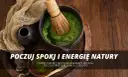 Matcha: Z czego powstaje? Poznaj sekret japońskiego proszku