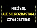 Gotowe zagadki z odpowiedziami: Rozrywka i trening umysłu