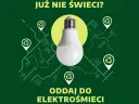 Gdzie wyrzucić żarówki? Segreguj dobrze, oszczędź 5000 zł!