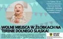 Kiedy do żłobka? Kluczowe informacje o wieku i gotowości dziecka