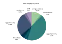 Wykres kołowy pokazujący zróżnicowany miks energetyczny Polski.