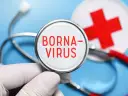 Borna Virus Symptome: Warnsignale, die Sie nicht ignorieren sollten