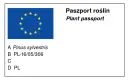 Jak czytać paszport roślin i uniknąć problemów z identyfikacją