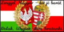Polak, Węgier, dwa bratanki. Herb Polski i Węgier, połączone wieńcem laurowym, symbolizują wieczną przyjaźń.