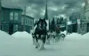 Najlepsze filmy o psim zaprzęgu, które poruszają serce i emocje