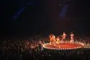 Koncert na żywo, tłum szaleje, a artyści na scenie jak kwiat jabłoni. Nawet jeśli zamknęli mi klub, muzyka trwa!