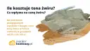 Ile kosztuje tona żwiru płukanego? Cena waha się od 30 do 150 zł. Na zdjęciu widoczne są hałdy żwiru i piasku.
