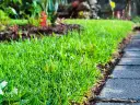 Co ile nawozić trawnik, aby uniknąć błędów w pielęgnacji?