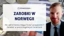 Elektryk w Norwegii: Ile zarobisz i czy to się opłaca? Pełny poradnik