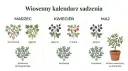 Wiosenny kalendarz ogrodnika: marzec (porzeczka, agrest, borówka amerykańska), kwiecień (jeżyna, malina, borówka), maj (jeżyna, borówka, krzew owocowy w doniczce).