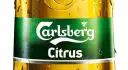 Carlsberg Polska: Pełne Portfolio Piw i Smaków (Przewodnik 2024)